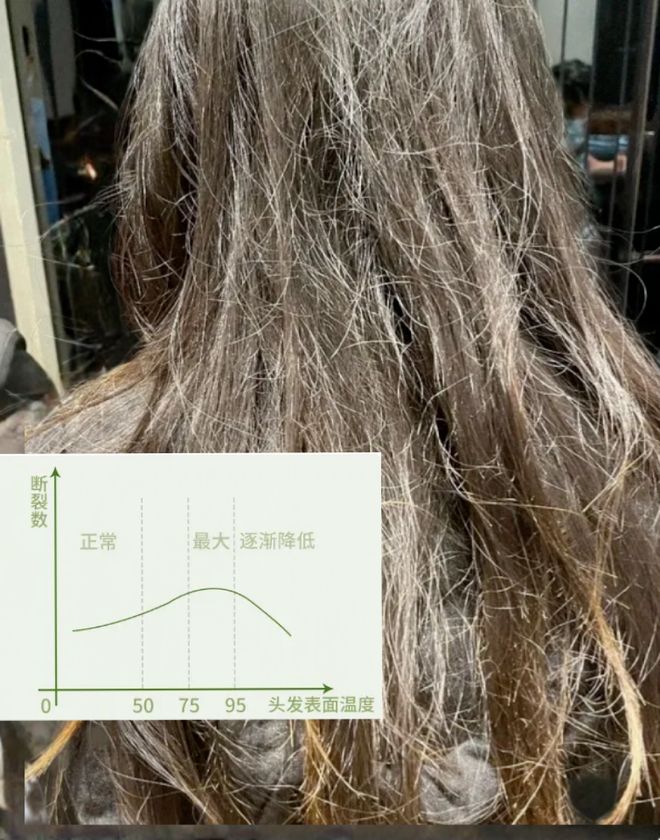 风机就不配有一头秀发了？不朽情缘用不起好几千的吹(图22)