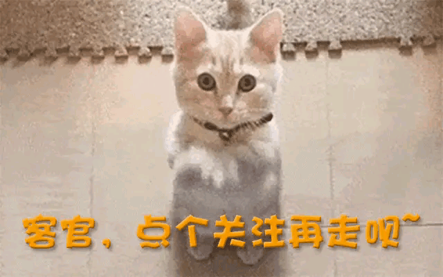 今独自抚养孩子的曹曦文活成人生赢家不朽情缘首页曾情断陈思诚嫁给富商如(图13)